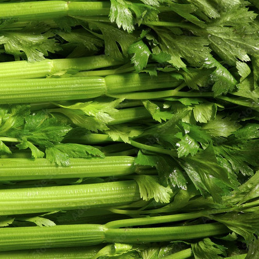 Celery