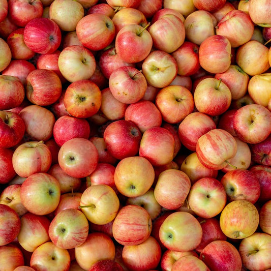 Apples